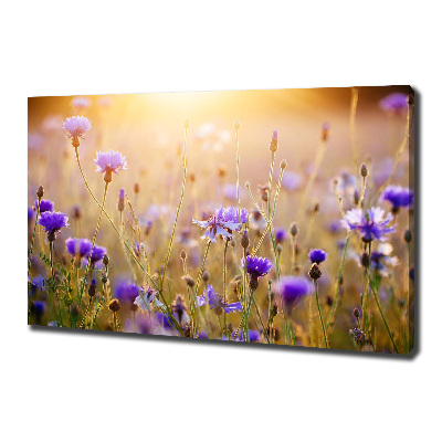 Cuadro canvas moderno de gran formato horizontal Flores silvestres