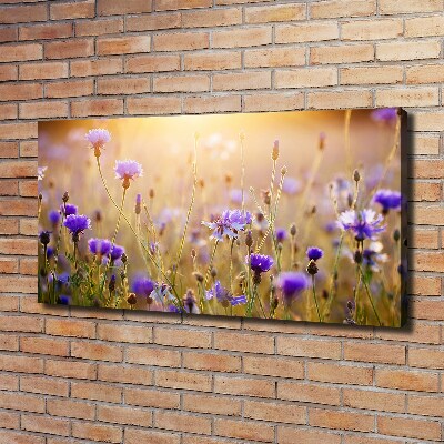Cuadro canvas moderno de gran formato horizontal Flores silvestres