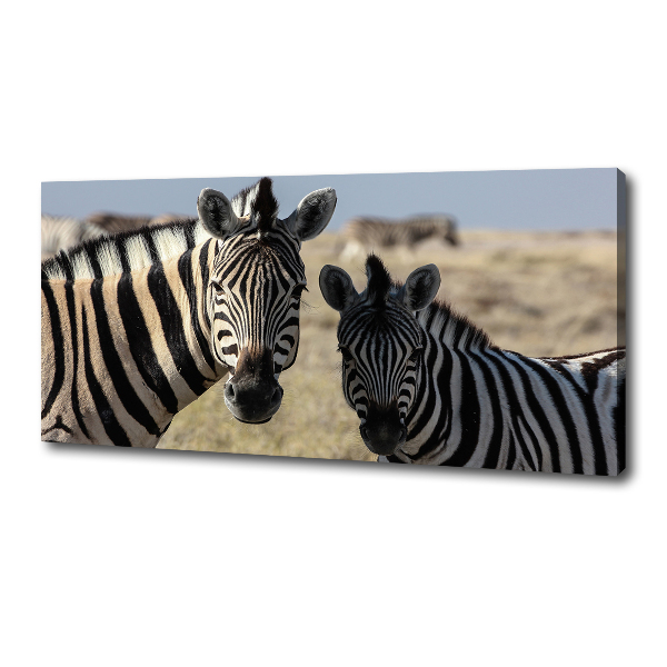Cuadro canvas con impresión uv duradera horizontal Dos cebras