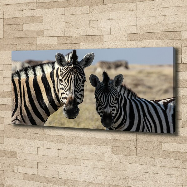 Cuadro canvas con impresión uv duradera horizontal Dos cebras