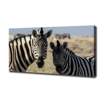 Cuadro canvas con impresión uv duradera horizontal Dos cebras