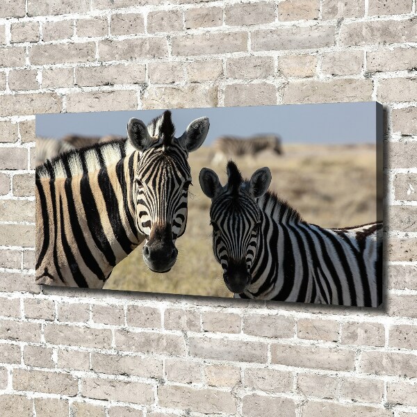 Cuadro canvas con impresión uv duradera horizontal Dos cebras