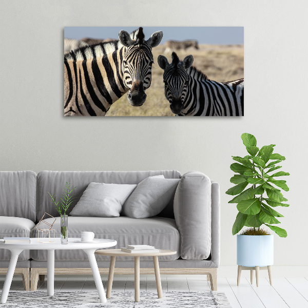 Cuadro canvas con impresión uv duradera horizontal Dos cebras
