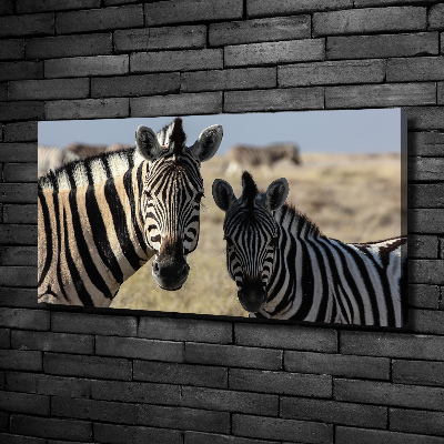 Cuadro canvas con impresión uv duradera horizontal Dos cebras