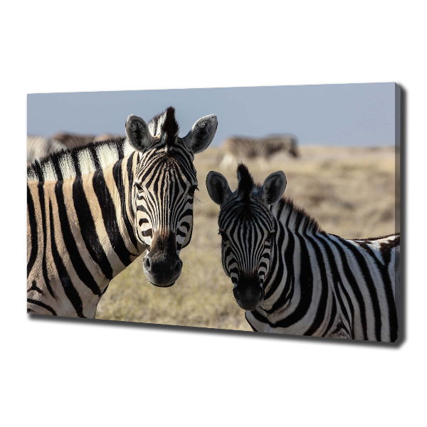 Cuadro canvas con impresión uv duradera horizontal Dos cebras