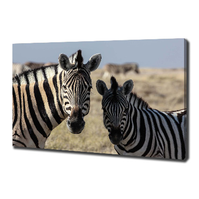 Cuadro canvas con impresión uv duradera horizontal Dos cebras