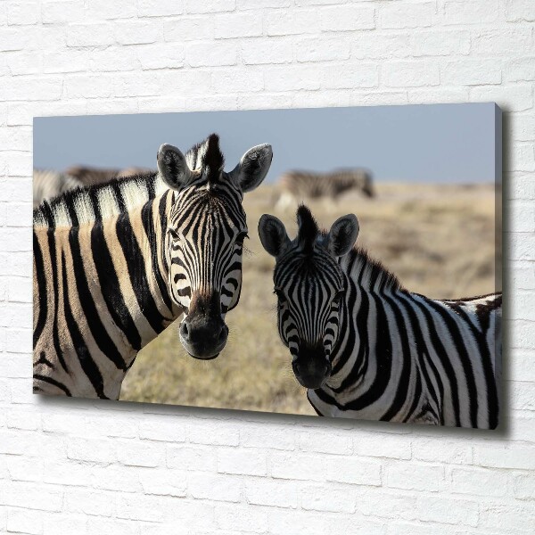 Cuadro canvas con impresión uv duradera horizontal Dos cebras