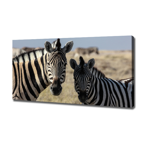 Cuadro canvas con impresión uv duradera horizontal Dos cebras