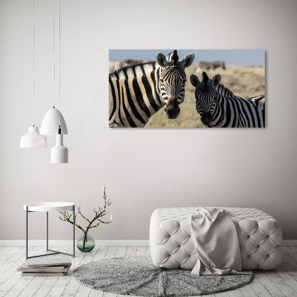 Cuadro canvas con impresión uv duradera horizontal Dos cebras