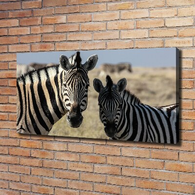 Cuadro canvas con impresión uv duradera horizontal Dos cebras