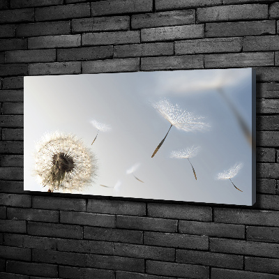 Fotocuadro en lienzo de alta calidad horizontal Diente de león