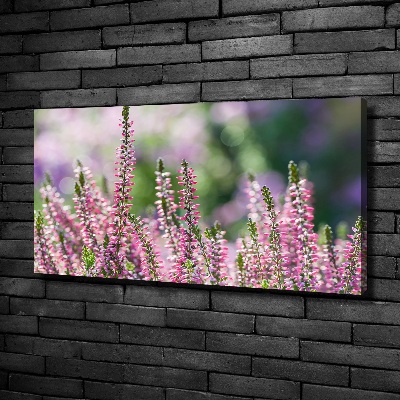 Foto en lienzo con acabado profesional horizontal flores de brezo