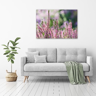 Foto en lienzo con acabado profesional horizontal flores de brezo