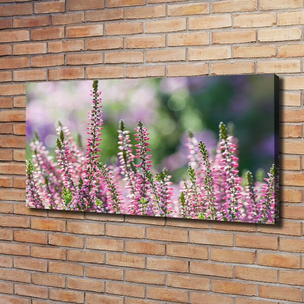 Foto en lienzo con acabado profesional horizontal flores de brezo