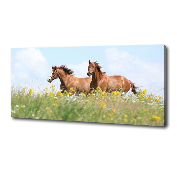 Cuadro canvas moderno de gran formato horizontal Dos caballos galopando