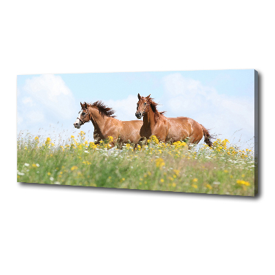 Cuadro canvas moderno de gran formato horizontal Dos caballos galopando