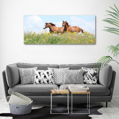 Cuadro canvas moderno de gran formato horizontal Dos caballos galopando