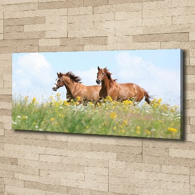 Cuadro canvas moderno de gran formato horizontal Dos caballos galopando