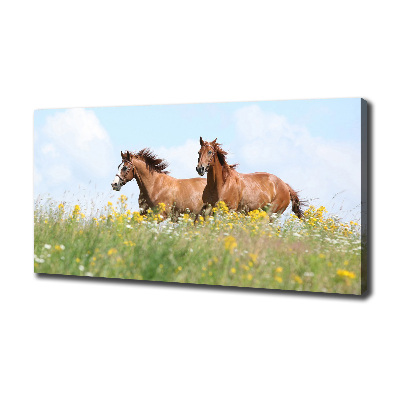 Cuadro canvas moderno de gran formato horizontal Dos caballos galopando