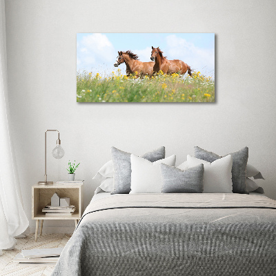 Cuadro canvas moderno de gran formato horizontal Dos caballos galopando