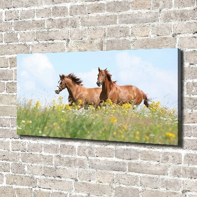 Cuadro canvas moderno de gran formato horizontal Dos caballos galopando