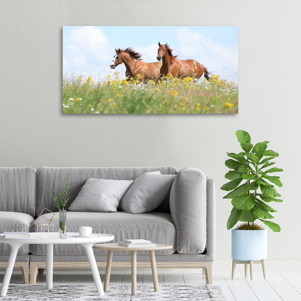 Cuadro canvas moderno de gran formato horizontal Dos caballos galopando