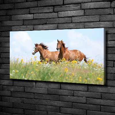 Cuadro canvas moderno de gran formato horizontal Dos caballos galopando