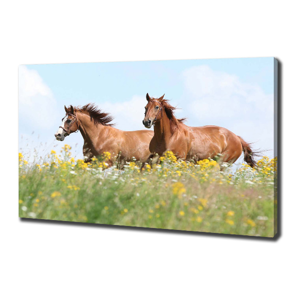 Cuadro canvas moderno de gran formato horizontal Dos caballos galopando