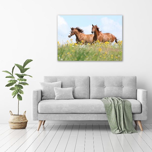 Cuadro canvas moderno de gran formato horizontal Dos caballos galopando