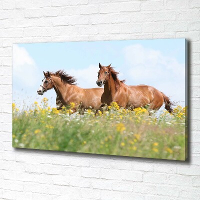 Cuadro canvas moderno de gran formato horizontal Dos caballos galopando