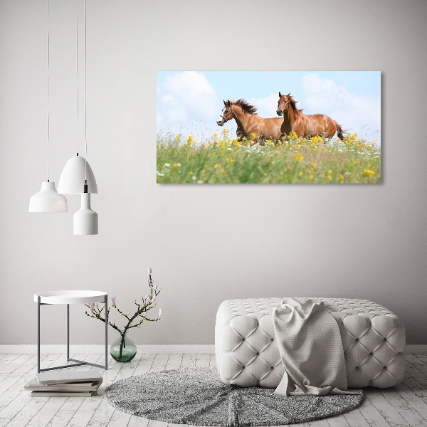 Cuadro canvas moderno de gran formato horizontal Dos caballos galopando