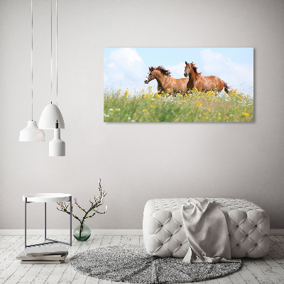 Cuadro canvas moderno de gran formato horizontal Dos caballos galopando