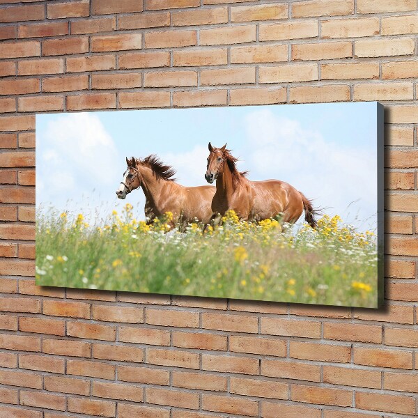 Cuadro canvas moderno de gran formato horizontal Dos caballos galopando