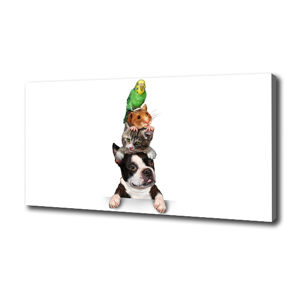 Fotocuadro en lienzo de alta calidad horizontal Un grupo de animales