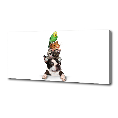 Fotocuadro en lienzo de alta calidad horizontal Un grupo de animales