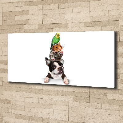 Fotocuadro en lienzo de alta calidad horizontal Un grupo de animales