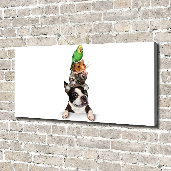 Fotocuadro en lienzo de alta calidad horizontal Un grupo de animales