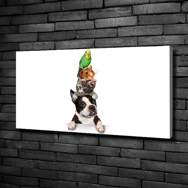 Fotocuadro en lienzo de alta calidad horizontal Un grupo de animales