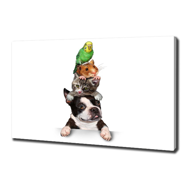 Fotocuadro en lienzo de alta calidad horizontal Un grupo de animales