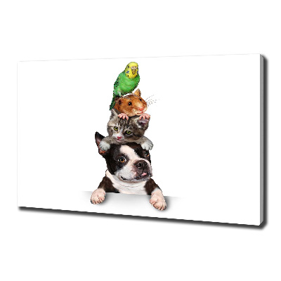 Fotocuadro en lienzo de alta calidad horizontal Un grupo de animales