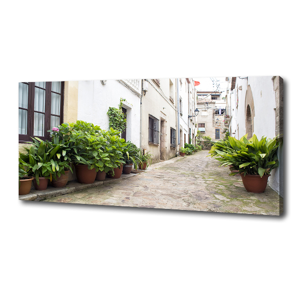 Foto en lienzo con acabado profesional horizontal Una calle con encanto