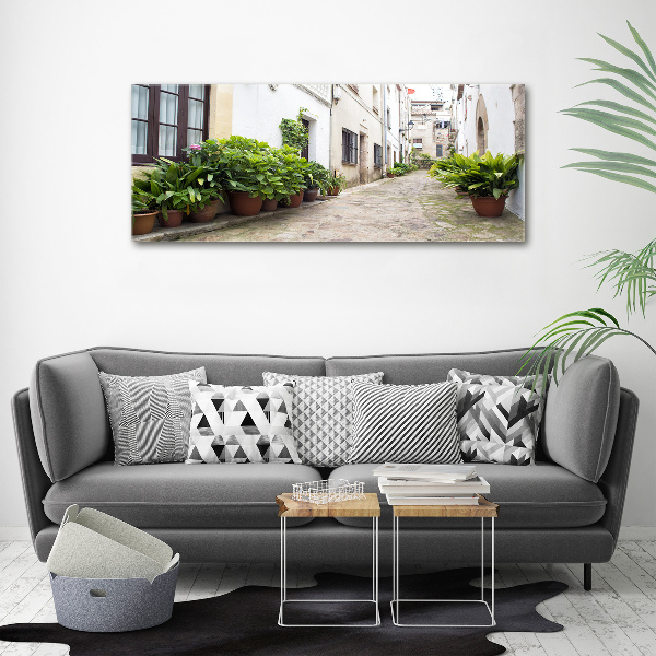 Foto en lienzo con acabado profesional horizontal Una calle con encanto