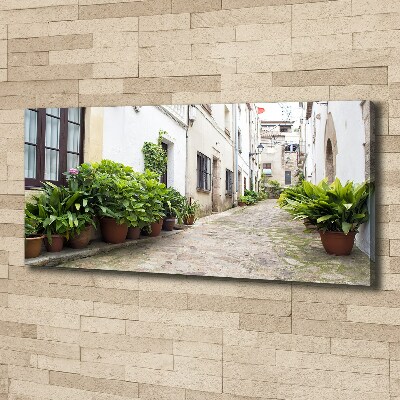 Foto en lienzo con acabado profesional horizontal Una calle con encanto