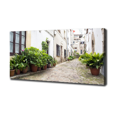 Foto en lienzo con acabado profesional horizontal Una calle con encanto