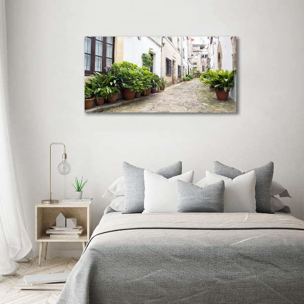 Foto en lienzo con acabado profesional horizontal Una calle con encanto
