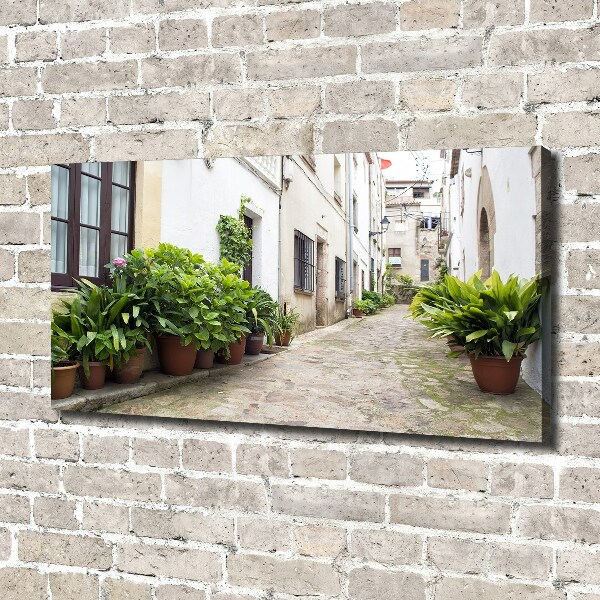 Foto en lienzo con acabado profesional horizontal Una calle con encanto