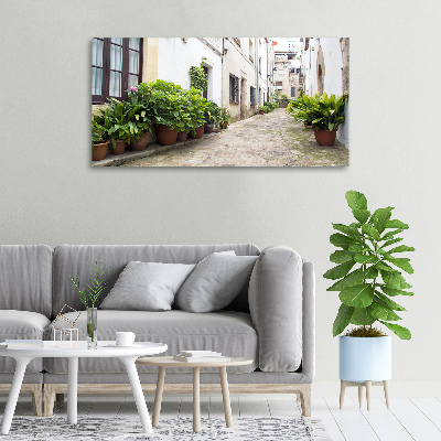 Foto en lienzo con acabado profesional horizontal Una calle con encanto