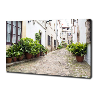 Foto en lienzo con acabado profesional horizontal Una calle con encanto