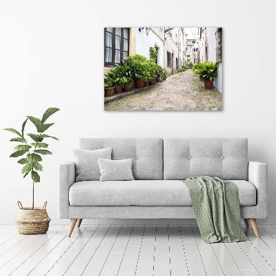 Foto en lienzo con acabado profesional horizontal Una calle con encanto