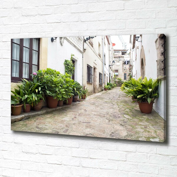 Foto en lienzo con acabado profesional horizontal Una calle con encanto